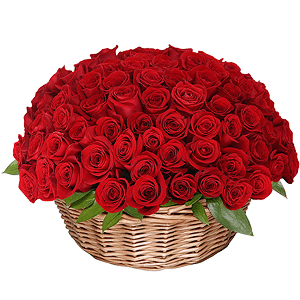 Basket of 101 red roses with delivery Novokuznetsk