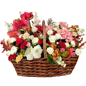 White amaryllis  - 3, Peony rose pink 'OHara' - 35, Pink cut anthurium - 5, lisianthus - 12, Spray peony rose  - 35, Orchid bud yellow/brown Cymbidium - 23, Pink Hyacinth - 12, Pink tulip - 16, Freesia - 15, Ranunculus White - 15, Carnation white, cream - 16, Red amaryllis - 4, Pink amaryllis - 4, Hypericum, Decorative element medium, Asparagus setaceus (1 pc.), Large Basket, Oasis, Pistachio, Flask for orchids