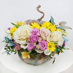 Trick or treat with delivery Novokuznetsk