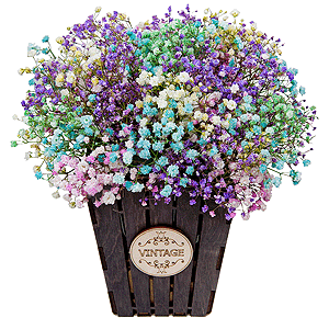 Candy with delivery Novokuznetsk