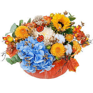 Bountyful with delivery Novokuznetsk