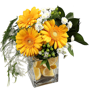 Gerbera yellow - 6, Athos poms Stallion - 3, Hypericum, Asparagus setaceus (1 pc.), Ruscus, Transparent vase, Lemon, 1 pc., Oasis