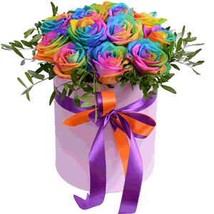 Arrangement of 13 Rainbow Roses in a hatbox with delivery Novokuznetsk