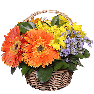 Blossoming Meadow with delivery Novokuznetsk