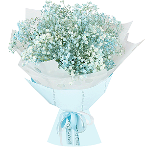 Sky-blue with delivery Novokuznetsk