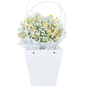 Bag with flowers with delivery Novokuznetsk