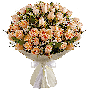 Wonderful Start VIP with delivery Novokuznetsk