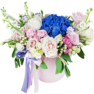 Eyes charm with delivery Novokuznetsk