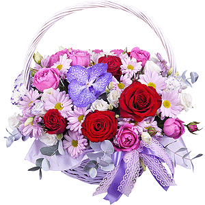 Our dreams with delivery Novokuznetsk