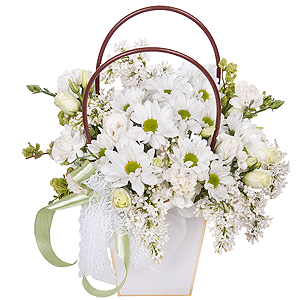 Dew drop with delivery Novokuznetsk