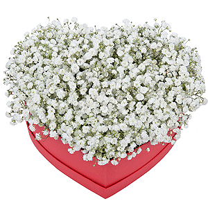 From the heart with delivery Novokuznetsk
