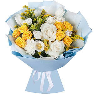 Sun in the clouds with delivery Novokuznetsk