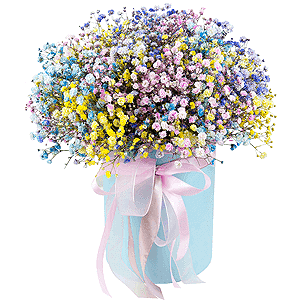 Sparkle of joy with delivery Novokuznetsk
