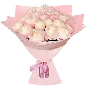 Peony pink - 27, Wrapping Paper, Ribbon
