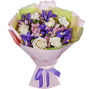 Calypso with delivery Novokuznetsk
