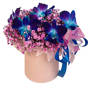 Garden of Night Fairies with delivery Novokuznetsk