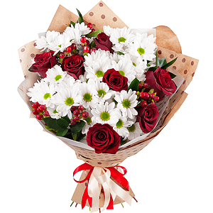 Shady Lady with delivery Novokuznetsk