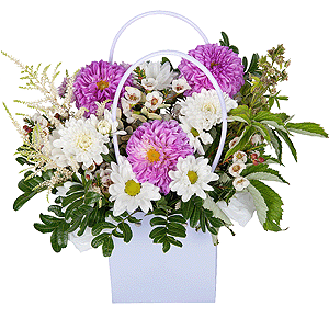 Summer Dew with delivery Novokuznetsk
