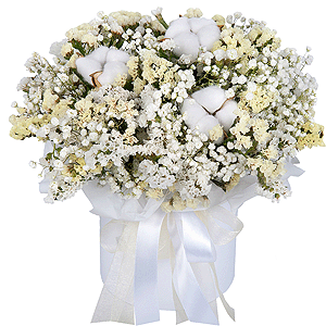 Cloud Softness with delivery Novokuznetsk