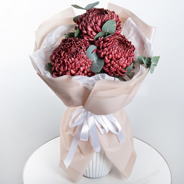 Chrysanthemum Bigoudi purple - 5, Eucalyptus, Wrapping Paper