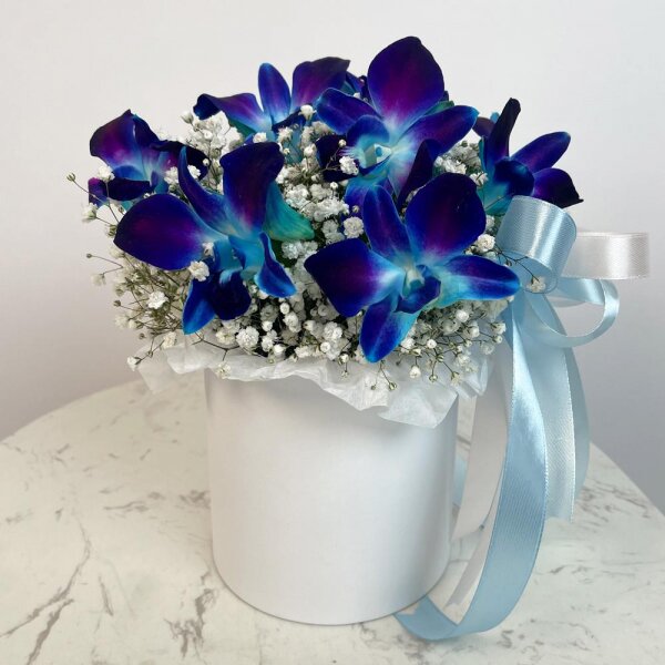 Gypsophila - 3, Orchid Dendrobium - 9, Flask for orchids, Oasis, Round flower box small , Ribbon